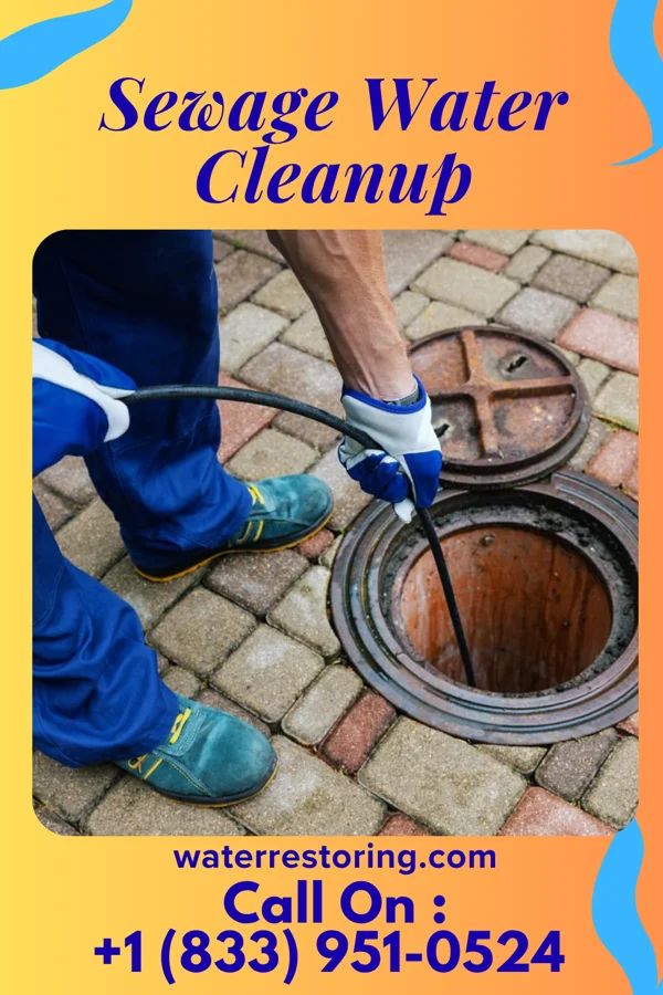 Sewage Water Cleanup in La Paloma Addition, TX